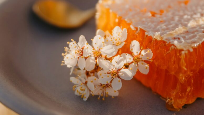Décorer un gâteau avec du miel en rayon, de la découpe au service